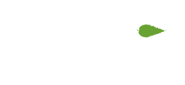 The Nettle Project